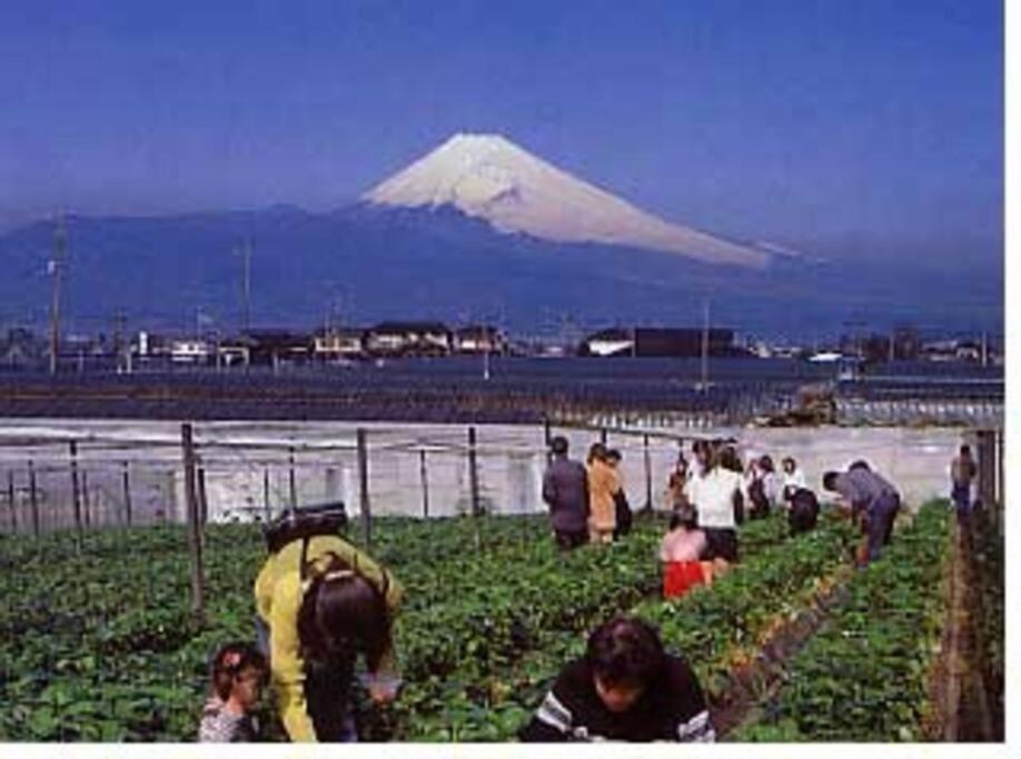 ゲストハウス+カフェわ　１日１組限定！ 築１００年の農家の古民家で宿泊体験、薪でお風呂沸かせます。焚き火もできます。 Kannami Esterno foto